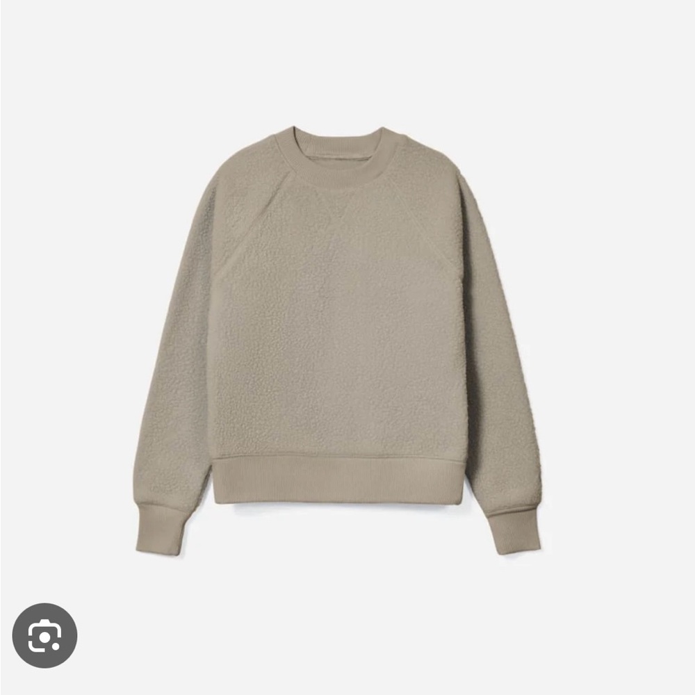 Everlane The Renew Fleece Raglan Sweatshirt